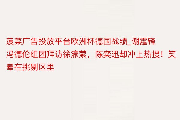 菠菜广告投放平台欧洲杯德国战绩_谢霆锋冯德伦组团拜访徐濠萦，